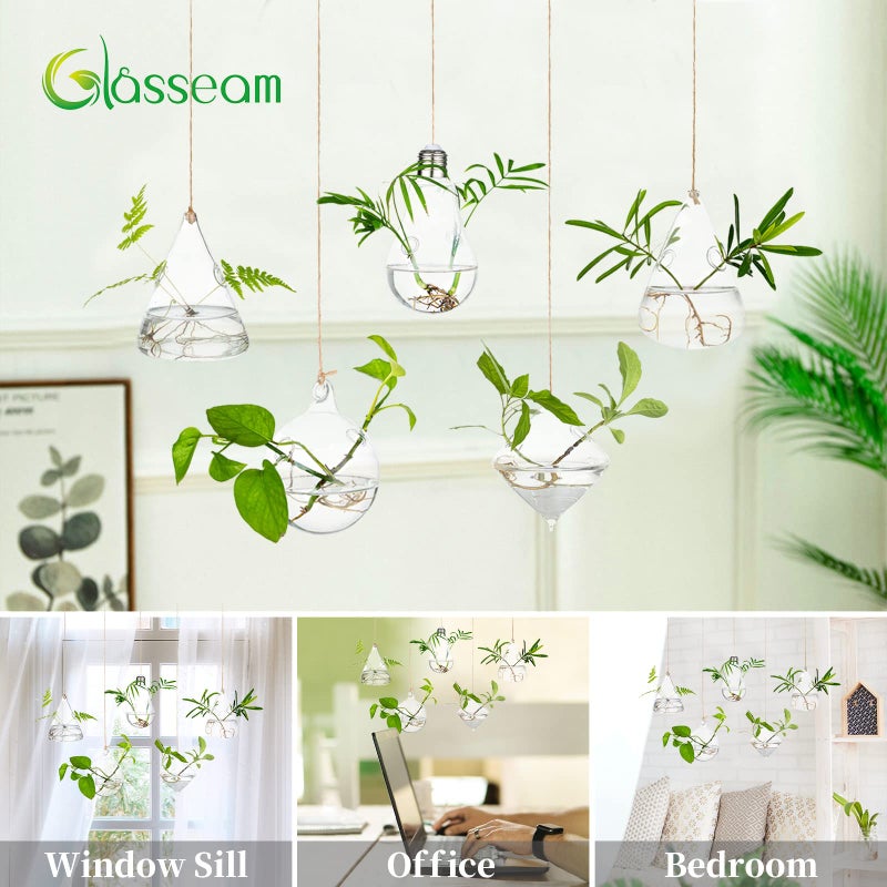 Glasseam Hanging Planters Glass Terrarium: 5Pcs Modern Plant Propagation Stations Hydroponic Wall Vases for Air Plants Flowers Indoor Window Home Decor - Image 4
